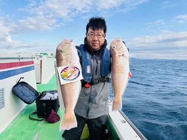 【釣果速報】神奈川県やまてん丸で50cmオーバーのデカシロアマダイをキャッチ！デカい高級魚の迫力にシビれろ！