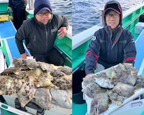 【釣果速報】神奈川県瀬戸丸でカワハギがバズる！トップは17枚！サイズも最大29cmと大型多数！数もサイズも記録更新したいなら今スグの乗船がおすすめ！