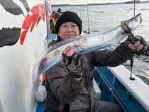 【釣果速報】東京都深川　吉野屋でメーター級のタチウオGET！MAXは110cm！あなたもドラゴン目指して乗船してみませんか？