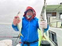 【釣果速報】神奈川県政信丸でアジが絶好調！40cmのジャンボサイズも上がってます！好調な今が釣行の狙い目！