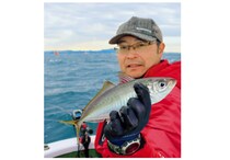 脂が乗って食味も抜群 走水沖のビシアジ好調