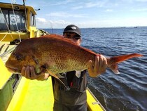 【釣果速報】神奈川県鴨下丸kawanaのマダイ船が好調！ゲストも多種多様！充実の釣行をお約束します！