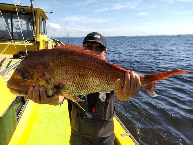 【釣果速報】神奈川県鴨下丸kawanaのマダイ船が好調!ゲストも多種多様!充実の釣行をお約束します!