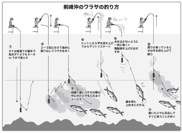 剣崎沖のワラサの釣り方