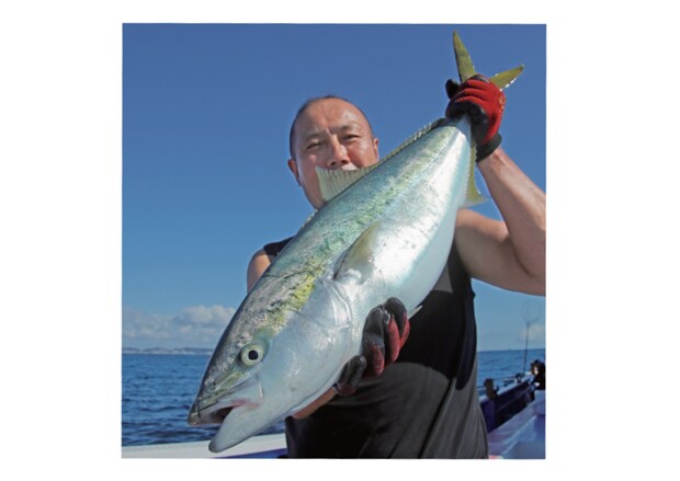 本格化までカウントダウン秋はやっぱりワラサだ!