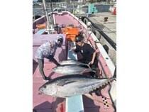 【釣果速報】神奈川県浜鈴丸で71.00kgのマグロ上がる！カツオもGET！ノッてる今、大物ゲットの夢を掴め！