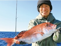 確実に「鯛」を釣るなら一つテンヤマダイで決まり！