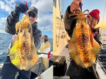 【釣果速報】千葉県赤沼丸で2026年初日から良型アオリイカゲット！今後の釣行も期待大！