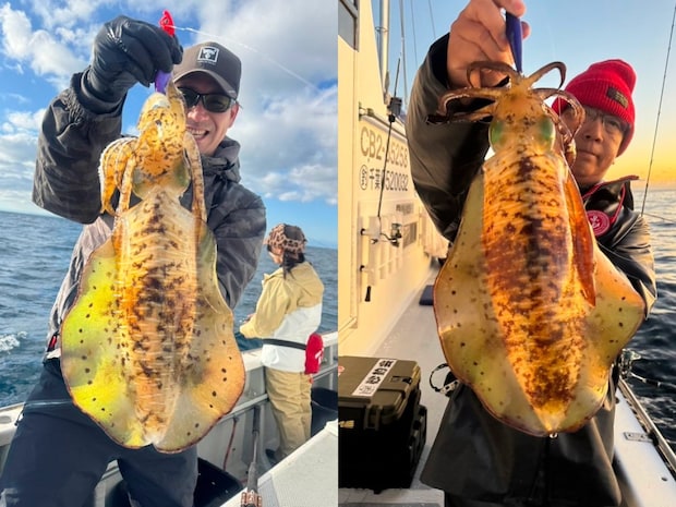 【釣果速報】千葉県赤沼丸で2026年初日から良型アオリイカゲット!今後の釣行も期待大!