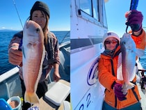 【釣果速報】静岡県山大丸で高級魚シロアマダイが順調に上がる！トップは6匹！ポイントを知り尽くす船長はお客さんからの信頼絶大！