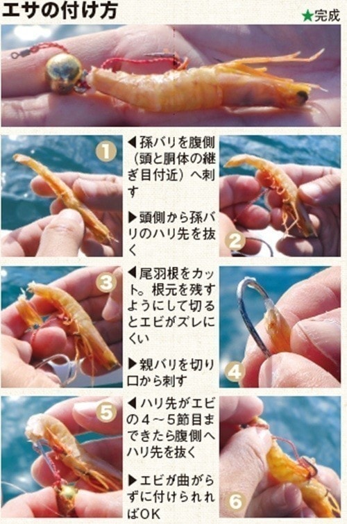 エサの付け方の写真