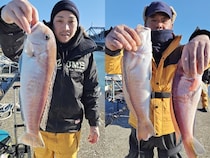 【釣果速報】千葉県フィッシュオン大勝でアカアマダイ&シロアマダイ確保！高級感溢れる釣行に今年こそ挑戦しよう！