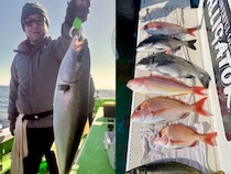 【釣果速報】和歌山県あまさけや丸でワラサ・アジ・サバなど海の人気者を次々GET！多種多様な魚と出会いたいなら今すぐ乗船を！