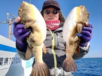 【釣果速報】千葉県利永丸はショウサイフグ・ヒガンフグ・コモンフグ・ウマズラなどGET！フグ釣行なら千葉県利永丸に決まり！