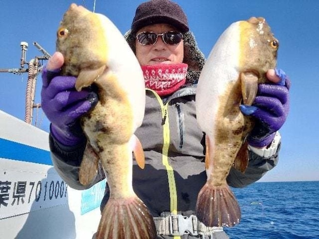 【釣果速報】千葉県利永丸はショウサイフグ・ヒガンフグ・コモンフグ・ウマズラなどGET！フグ釣行なら千葉県利永丸に決まり！