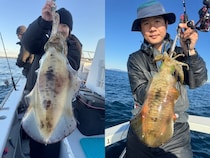 【釣果速報】千葉県赤沼丸でアオリイカGET！！数人同時ヒットもあり！イカの機嫌が良い今がGETのチャンス！