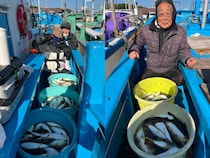 【釣果速報】ショウサイフグ高活性！茨城県利喜丸でトップ80匹確保！旬のシーズンを絶対に逃すな！