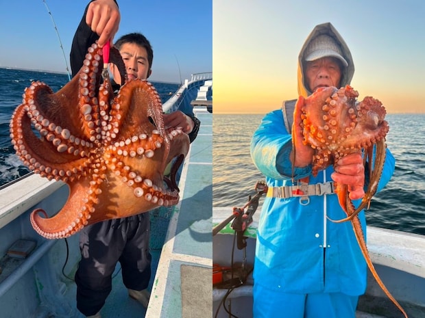 【釣果速報】茨城県幸栄丸で良型マダコのアタリ続く！3.90kgのデカタコも！家族や友達との釣りにもおすすめのターゲットです！