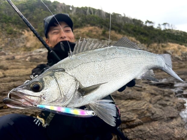 冬の五島列島、ヒラスズキ遠征記