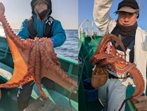 【釣果速報】茨城県長岡丸で最大5.90kgのマダコを筆頭に大物炸裂！今後も右肩上がりに釣果が上向く見込み！このビッグウェーブ、乗るっきゃない！