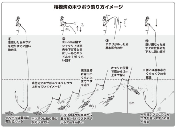 相模湾のホウボウ釣り方イメージ