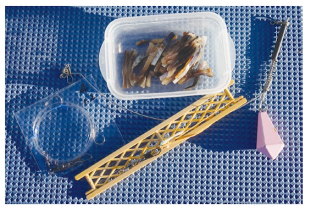 ホウボウのエサ釣り仕掛け