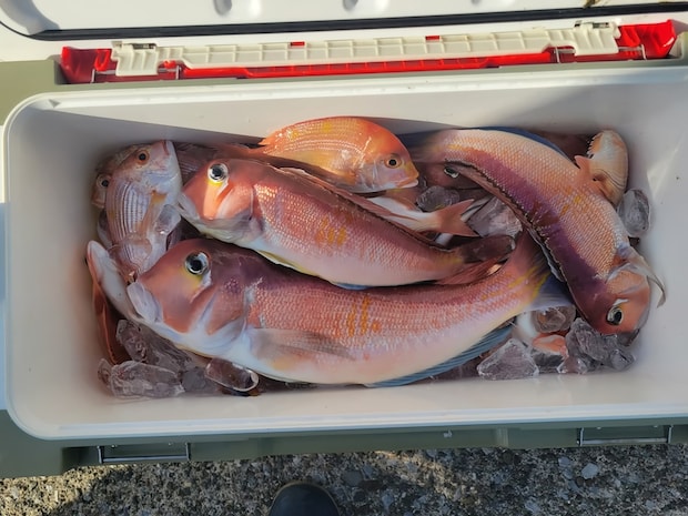 【釣果速報】神奈川県岩伊丸アマダイ船は船長厳選のポイントがどこも大当たり！45cmのデカアマもキャッチ！釣果にこだわる人は乗船一択！