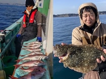 【釣果速報】神奈川県あまさけや丸でヒラメ、ワラサ、マダイなど海の人気者を次々GET！多彩な魚との出会いを求めて、今すぐ乗船を！