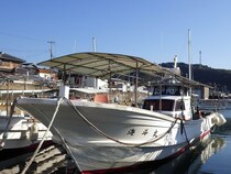 【海斗丸】冬の真鯛シーズン本番！加太沖で狙う…壮大な引きと美味を手にする3つの理由