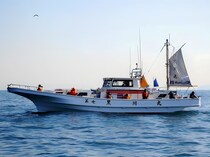 【金沢八景 黒川丸】で今釣れる魚・人気プラン3選！初心者・ファミリーも安心の手ぶら釣行ガイド