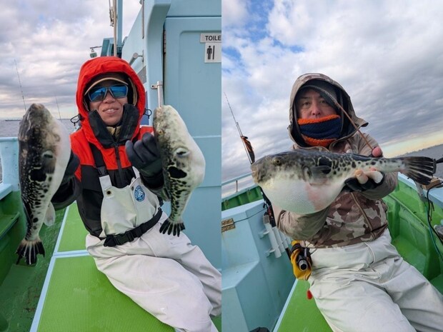 【釣果速報】神奈川県野毛屋釣船店でトラフグGET！冬の絶品フグを狙いに行ってみませんか！