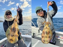 【釣果速報】千葉県赤沼丸でアオリイカ全員ゲット！実績“お墨付き”の船で高級イカをゲットしよう！