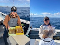 【釣果速報】神奈川県佐円丸でマルイカ釣行が好調！竿頭は25匹ゲット！冬の絶品マルイカを自分の手で釣り上げてみませんか？