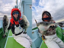 【釣果速報】神奈川県野毛屋釣船店でトラフグGET！冬の絶品フグを狙いに行ってみませんか！