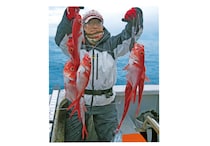 サビキで手軽にキンメ釣り想像以上のサイズも魅力