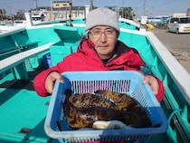 【釣果速報】千葉県利永丸でヒガンフグ好調！！2kgクラスの大物も続々上がる！記録更新するなら今でしょ！