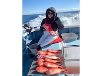 【釣果速報】神奈川県愛正丸で40cm超えの巨大キンメゲット！あなたも真っ赤な海の宝石を捕まえに行きませんか？