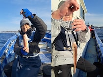 【釣果速報】神奈川県道乗丸で幻のシロアマダイをキャッチ！あなたも神奈川県道乗丸でシロアマダイを狙おう！