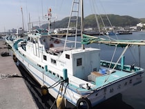 【2026年1月最新】金谷 勘次郎丸の金アジ釣りが好調！今行きたい理由5選