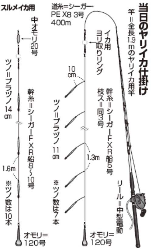当日のヤリイカ仕掛け