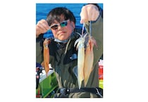 相模湾のヤリイカ上昇中小田原南沖で乗り順調