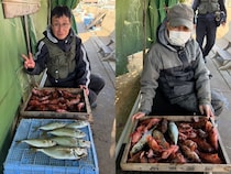 【釣果速報】兵庫県釣り船 名田屋でガシラ爆釣！お土産にマアジもGET！充実の釣行は兵庫県釣り船 名田屋で！