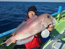 【釣果速報】千葉県利八丸でヒット連発＆ドデカい50cmシロアマダイをゲット！自己記録更新を狙うなら今すぐ乗船だ！