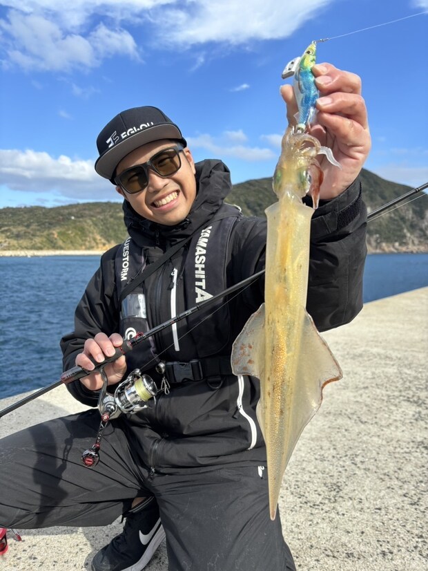 冬の嬉しいゲストのヤリイカ