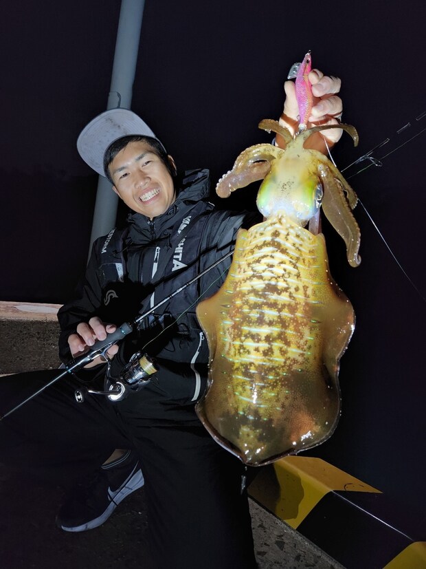 エギ王Kトラトラピンキーでキャッチした冬のアオリイカ