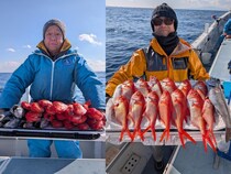 【釣果速報】神奈川県太郎丸でキンメダイざんまい！竿頭は18匹GET！赤い魚と青い海のコントラストがたまらない！