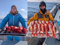 【釣果速報】神奈川県太郎丸でキンメダイざんまい！竿頭は18匹GET！赤い魚と青い海のコントラストがたまらない！