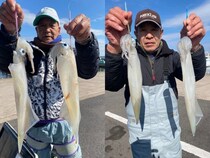 【釣果速報】茨城県大春丸でMAX46cmの胴長ヤリイカ確保！ビッグサイズの高級イカを今こそ狙いに行こう！