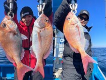 【釣果速報】茨城県のことぶき丸でマダイ・アマダイ・トラフグ・マゾイ他GET！多種多様！充実の釣行をお約束します！