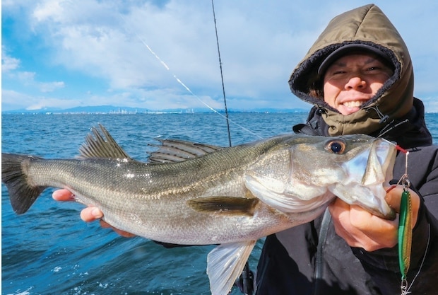 東京湾のシーバスジギング